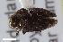  ( - CSE4249)  @11 [ ] CreativeCommons  Attribution Share-Alike (by-sa) 4.0 (2017) Unspecified Zoologisches Forschungsmuseum Alexander Koenig