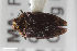  ( - CSE1077.1)  @11 [ ] CreativeCommons  Attribution Share-Alike (by-sa) 4.0 (2017) Unspecified Zoologisches Forschungsmuseum Alexander Koenig