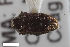  ( - CSE1077.6)  @11 [ ] CreativeCommons  Attribution Share-Alike (by-sa) 4.0 (2017) Unspecified Zoologisches Forschungsmuseum Alexander Koenig