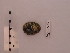  ( - LMBT1-001)  @12 [ ] Unspecified (default): All Rights Reserved  Unspecified Unspecified