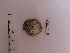  (Patella candei - LMBT1-003)  @13 [ ] Unspecified (default): All Rights Reserved  Unspecified Unspecified