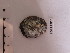  ( - LMBT3-004)  @11 [ ] Unspecified (default): All Rights Reserved  Unspecified Unspecified