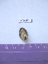  ( - LMBV15-001)  @13 [ ] Unspecified (default): All Rights Reserved  Unspecified Unspecified