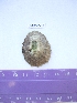  ( - LMBV22-001)  @13 [ ] Unspecified (default): All Rights Reserved  Unspecified Unspecified