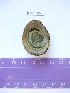  ( - LMBV22-001)  @13 [ ] Unspecified (default): All Rights Reserved  Unspecified Unspecified