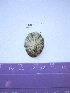  ( - LMBV22-002)  @13 [ ] Unspecified (default): All Rights Reserved  Unspecified Unspecified