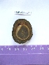  ( - LMBV23-001)  @12 [ ] Unspecified (default): All Rights Reserved  Unspecified Unspecified