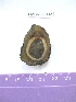  ( - LMBV23-002)  @13 [ ] Unspecified (default): All Rights Reserved  Unspecified Unspecified