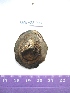  ( - LMBV23-003)  @13 [ ] Unspecified (default): All Rights Reserved  Unspecified Unspecified