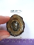  (Patella vulgata - LMBV23-003)  @14 [ ] Unspecified (default): All Rights Reserved  Unspecified Unspecified
