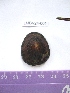  ( - LMBV24-001)  @13 [ ] Unspecified (default): All Rights Reserved  Unspecified Unspecified