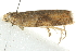  ( - BIOUG01046-B09)  @12 [ ] CreativeCommons - Attribution (2011) CBG Photography Group Centre for Biodiversity Genomics