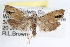  ( - RBMIS-0002)  @13 [ ] CreativeCommons - Attribution (2009) Unspecified Centre for Biodiversity Genomics