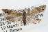  ( - RBMIS-0013)  @11 [ ] CreativeCommons - Attribution (2009) Unspecified Centre for Biodiversity Genomics