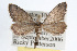  ( - RBMIS-0027)  @12 [ ] CreativeCommons - Attribution (2009) Unspecified Centre for Biodiversity Genomics