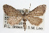  ( - RBMIS-0028)  @13 [ ] CreativeCommons - Attribution (2009) Unspecified Centre for Biodiversity Genomics