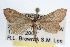  ( - RBMIS-0029)  @13 [ ] CreativeCommons - Attribution (2009) Unspecified Centre for Biodiversity Genomics