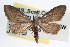  ( - RBMIS-0030)  @12 [ ] CreativeCommons - Attribution (2009) Unspecified Centre for Biodiversity Genomics