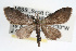  ( - RBMIS-0031)  @12 [ ] CreativeCommons - Attribution (2009) Unspecified Centre for Biodiversity Genomics