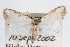  ( - RBMIS-0082)  @11 [ ] CreativeCommons - Attribution (2009) Unspecified Centre for Biodiversity Genomics