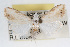  ( - RBMIS-0083)  @11 [ ] CreativeCommons - Attribution (2009) Unspecified Centre for Biodiversity Genomics