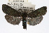  ( - RBMIS-0090)  @11 [ ] CreativeCommons - Attribution (2009) Unspecified Centre for Biodiversity Genomics