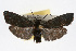  ( - RBMIS-0091)  @11 [ ] CreativeCommons - Attribution (2009) Unspecified Centre for Biodiversity Genomics