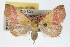  ( - RBMIS-0112)  @14 [ ] CreativeCommons - Attribution (2009) Unspecified Centre for Biodiversity Genomics