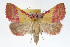  ( - RBMIS-0114)  @15 [ ] CreativeCommons - Attribution (2009) Unspecified Centre for Biodiversity Genomics