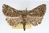  ( - RBMIS-0125)  @14 [ ] CreativeCommons - Attribution (2009) Unspecified Centre for Biodiversity Genomics
