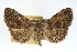  ( - RBMIS-0127)  @14 [ ] CreativeCommons - Attribution (2009) Unspecified Centre for Biodiversity Genomics