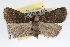  ( - RBMIS-0131)  @14 [ ] CreativeCommons - Attribution (2009) Unspecified Centre for Biodiversity Genomics