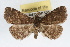  ( - RBMIS-0139)  @14 [ ] CreativeCommons - Attribution (2009) Unspecified Centre for Biodiversity Genomics