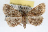  ( - RBMIS-0140)  @14 [ ] CreativeCommons - Attribution (2009) Unspecified Centre for Biodiversity Genomics