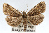  ( - RBMIS-0154)  @13 [ ] CreativeCommons - Attribution (2009) Unspecified Centre for Biodiversity Genomics
