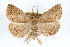  ( - RBMIS-0204)  @11 [ ] CreativeCommons - Attribution (2009) Unspecified Centre for Biodiversity Genomics