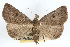  ( - RBMIS-0206)  @11 [ ] CreativeCommons - Attribution (2009) Unspecified Centre for Biodiversity Genomics