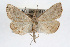  ( - RBMIS-0220)  @14 [ ] CreativeCommons - Attribution (2009) Unspecified Centre for Biodiversity Genomics