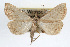  ( - RBMIS-0221)  @13 [ ] CreativeCommons - Attribution (2009) Unspecified Centre for Biodiversity Genomics