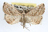  ( - RBMIS-0224)  @14 [ ] CreativeCommons - Attribution (2009) Unspecified Centre for Biodiversity Genomics