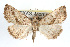  ( - RBMIS-0225)  @15 [ ] CreativeCommons - Attribution (2009) Unspecified Centre for Biodiversity Genomics