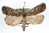  ( - RBMIS-0232)  @13 [ ] CreativeCommons - Attribution (2009) Unspecified Centre for Biodiversity Genomics