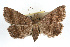  ( - RBMIS-0234)  @14 [ ] CreativeCommons - Attribution (2009) Unspecified Centre for Biodiversity Genomics