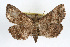 ( - RBMIS-0237)  @14 [ ] CreativeCommons - Attribution (2009) Unspecified Centre for Biodiversity Genomics