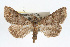  ( - RBMIS-0270)  @14 [ ] CreativeCommons - Attribution (2009) Unspecified Centre for Biodiversity Genomics
