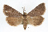  ( - RBMIS-0273)  @14 [ ] CreativeCommons - Attribution (2009) Unspecified Centre for Biodiversity Genomics