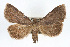 ( - RBMIS-0275)  @14 [ ] CreativeCommons - Attribution (2009) Unspecified Centre for Biodiversity Genomics