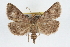  ( - RBMIS-0280)  @14 [ ] CreativeCommons - Attribution (2009) Unspecified Centre for Biodiversity Genomics