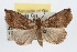  ( - RBMIS-0308)  @15 [ ] CreativeCommons - Attribution (2009) Unspecified Centre for Biodiversity Genomics