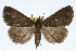  ( - RBMIS-0319)  @15 [ ] CreativeCommons - Attribution (2009) Unspecified Centre for Biodiversity Genomics